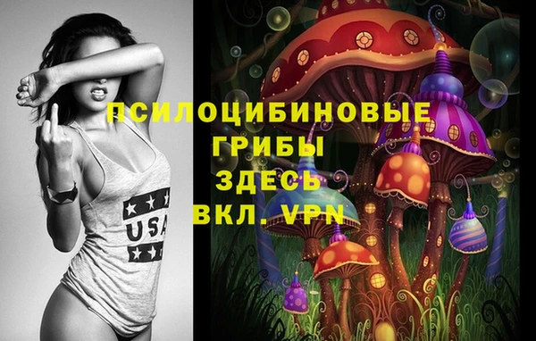 крисы Елизово