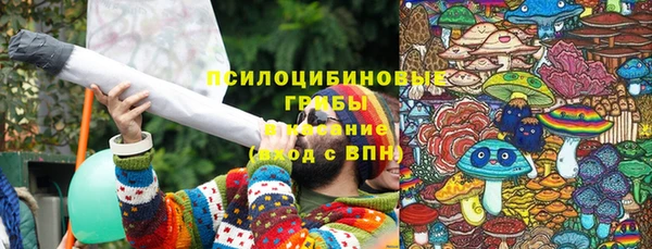 крисы Елизово