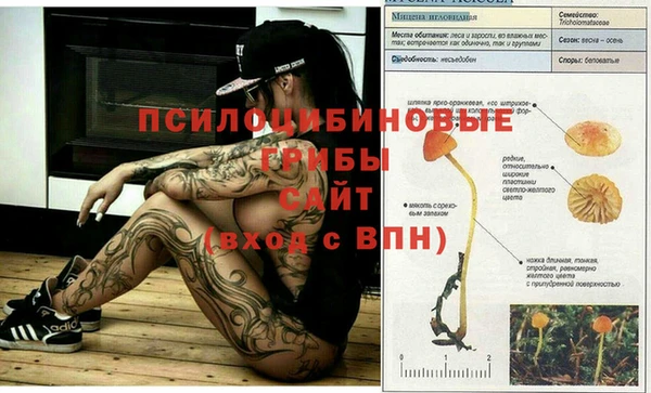ALPHA PVP Заволжье