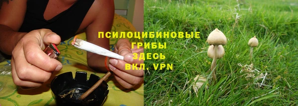 герыч Ельня